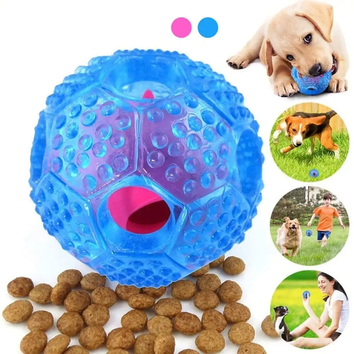 Durable Non-toxic Rubber Teeth Cleaning Food Dispensing