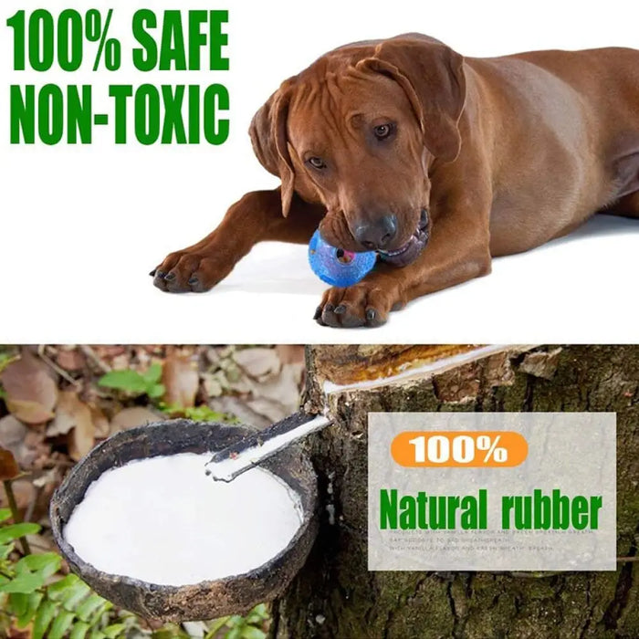 Durable Non-toxic Rubber Teeth Cleaning Food Dispensing