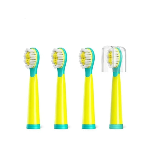 Electric Replacement Head Toothbrushes Sets For Fw-2001