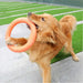 Flexible Floating Non-toxic Flying Discs Dog Chew Toy