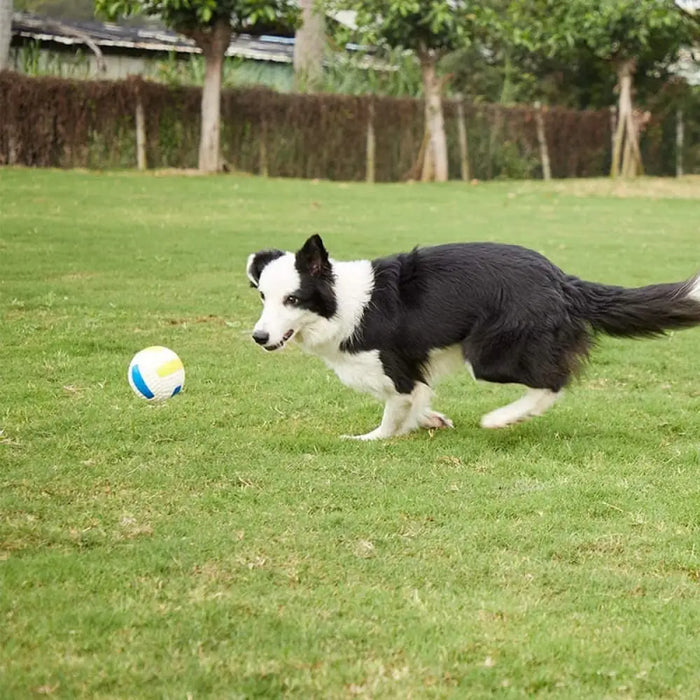 Floatable Bouncy Squeaky Rubber Dog Balls For Small Medium