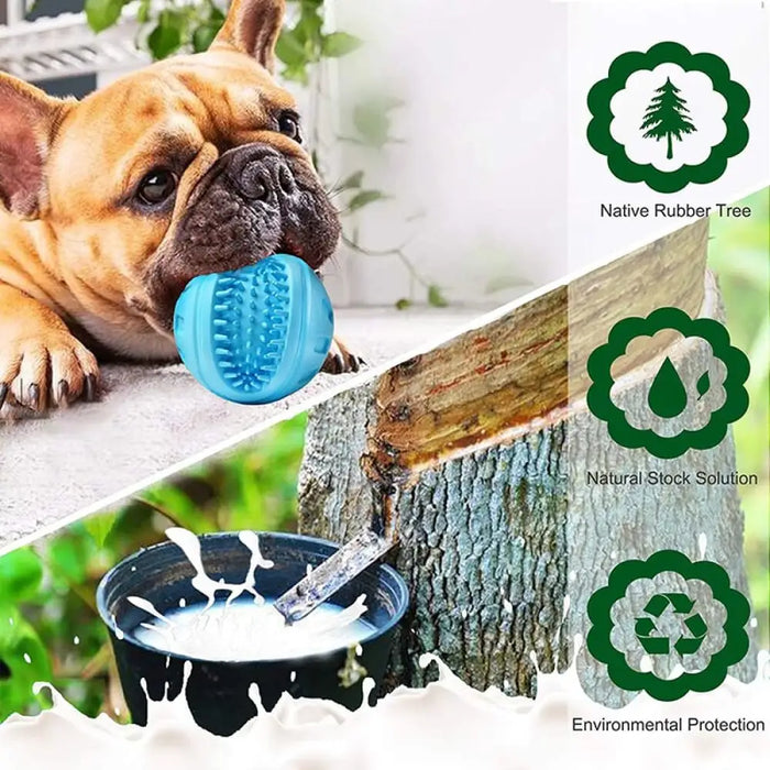 Floating Bouncy Bite-resistant Teeth Cleaning Squeaky Dog