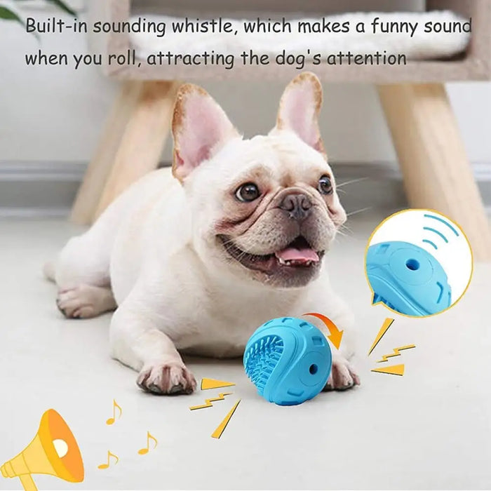 Floating Bouncy Bite-resistant Teeth Cleaning Squeaky Dog