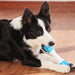 Eco-friendly Anti-biting Teething Dog Chew Stick For Small