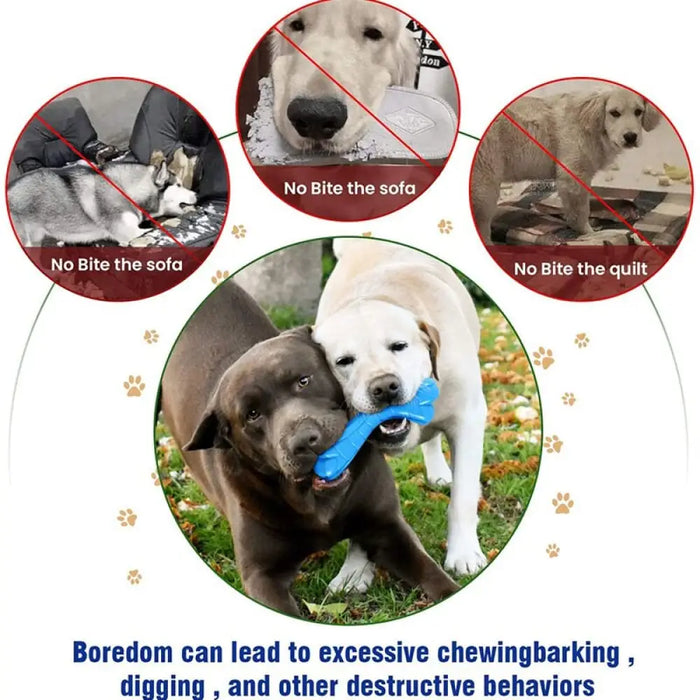 Eco-friendly Durable Bite-resistant Chew Bone Toys