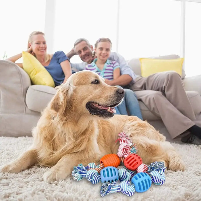 Eco-friendly Quality Pet Rope Chew Ball Toys For Puppies