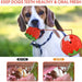 Eco-friendly Rubber Food Leaking Strawberry Shaped Dog Chew