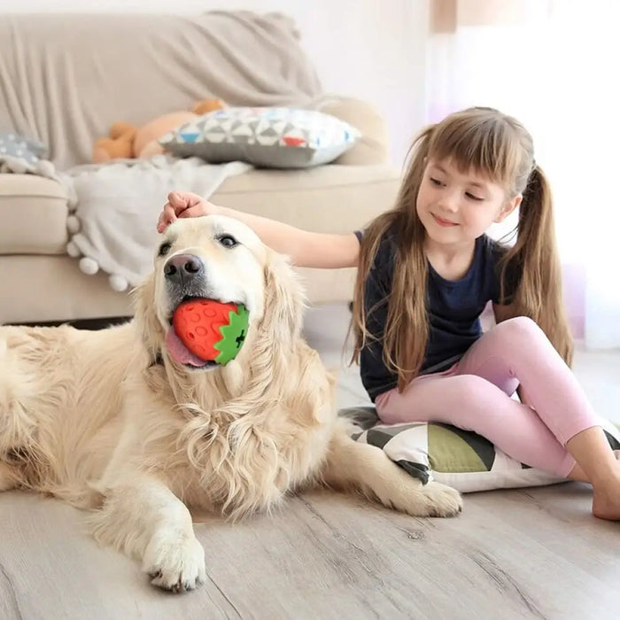 Eco-friendly Rubber Food Leaking Strawberry Shaped Dog Chew