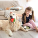 Eco-friendly Rubber Food Leaking Strawberry Shaped Dog Chew