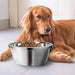 Eco-friendly Smooth Edge Stable Bottom Pet Food Water Bowl