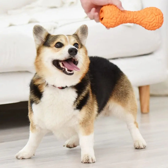 Eco-friendly Soft Rubber Food Dispensing Chew Toys For Dogs