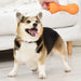 Eco-friendly Soft Rubber Food Dispensing Chew Toys For Dogs