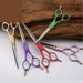 High-end 6 Inch Professional Dog Grooming Scissors Cutting