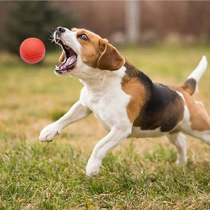 High-bouncing Solid Rubber Chew Ball For Small Medium Large