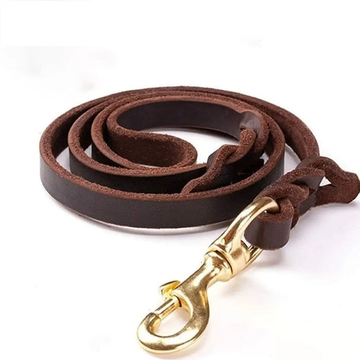 High-end Cowhide Leather Handmade Durable Brass-plated Pet