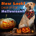 High-quality Washable Halloween Pet Bib Scarfs For Small