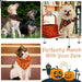 High-quality Washable Halloween Pet Bib Scarfs For Small