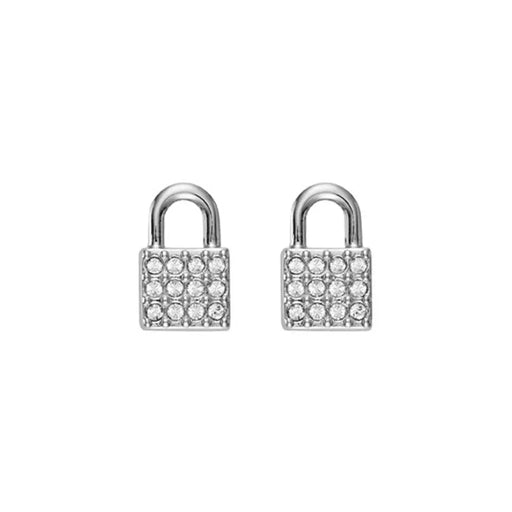 Ladies’earrings Dkny 5520119 1 Cm