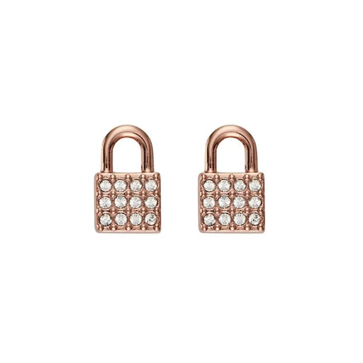 Ladies’earrings Dkny 5520121 1 Cm