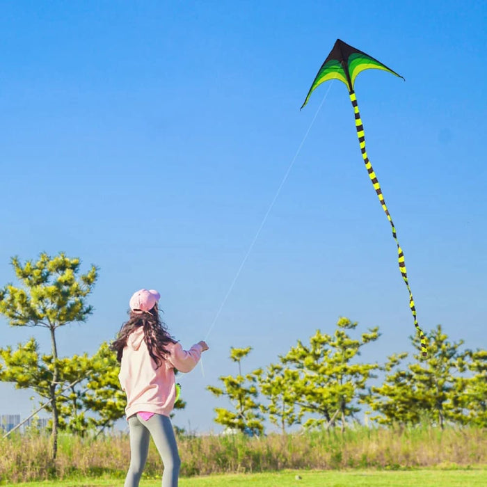 Large Delta Kite For Kids & Adults Easy To Fly Large Huge Delta Kite Come With 6M Tail Easy To Fly