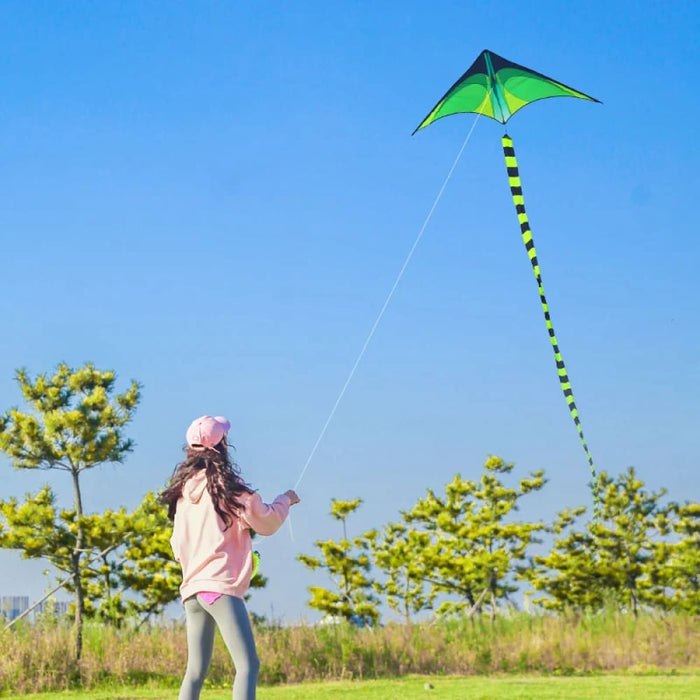 Large Delta Kites Flying For Adults Kites Outdoor Toys For Kids Kites Handle Include Nylon Ripstop Kite Factory