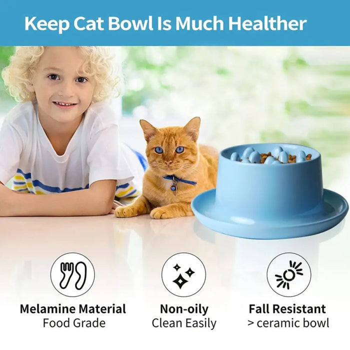 No Mess Durable Pet Slow Feeder Food Bowl For Kitten Puppy