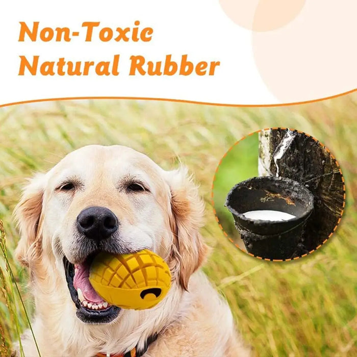 Natural Rubber Interactive Food Dispensing Dog Toy For Small