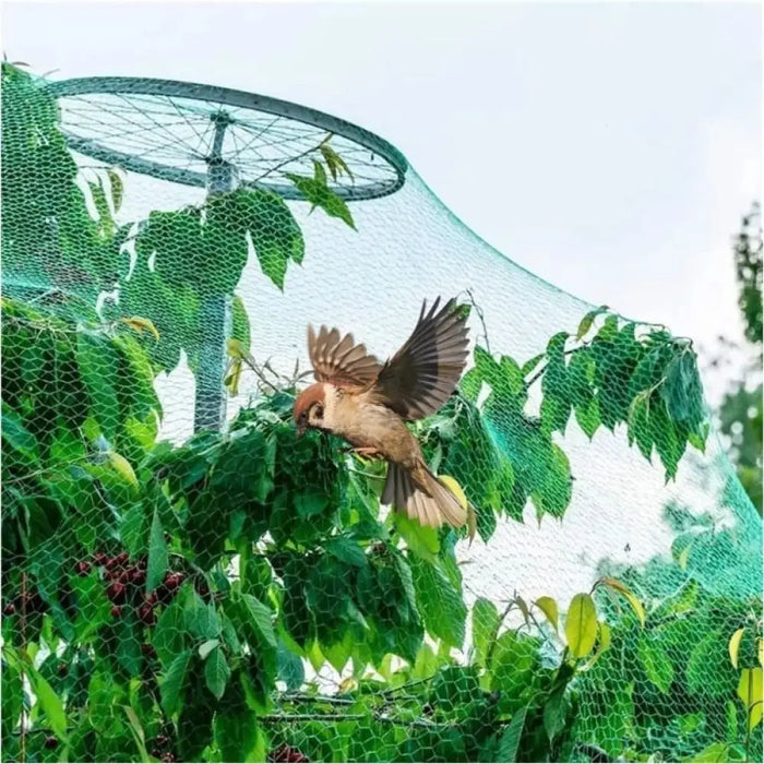 Outdoor Green Pe Bird Proof Net Fruit Tree Cover Anti-bird