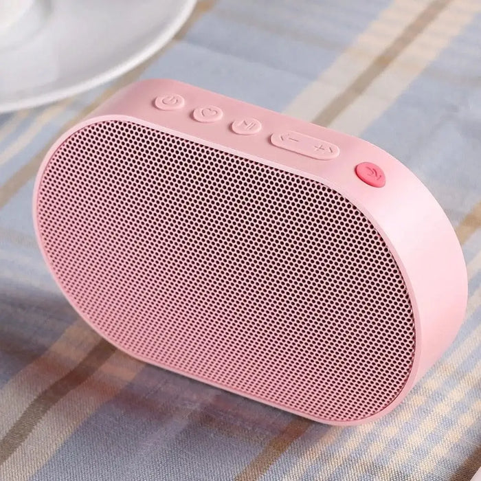 Portable 2200mah Bluetooth Wireless Speaker Support Alexa