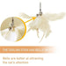 Powerful Suction Cup Natural Feather Wand Kitten Toys For