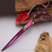 Professional 7.0 7.5 8.0 Inch Pet Grooming In Dog Hair