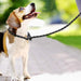 Reflective Comfortable Padded Handle Slip Pet Leash For