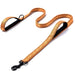 Reflective Padded Two Handle Durable Nylon Pet Training