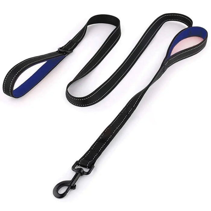 Reflective Padded Two Handle Durable Nylon Pet Training