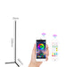 Vibe Geeks Remote Controlled Dimmable Standing Corner Floor