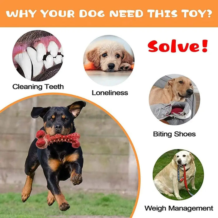 Rubber Durable Teeth Cleaning Beef Flavor Dog Bone Chew Toy