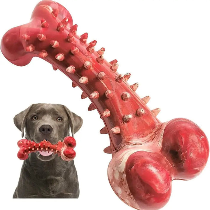 Rubber Durable Teeth Cleaning Beef Flavor Dog Bone Chew Toy