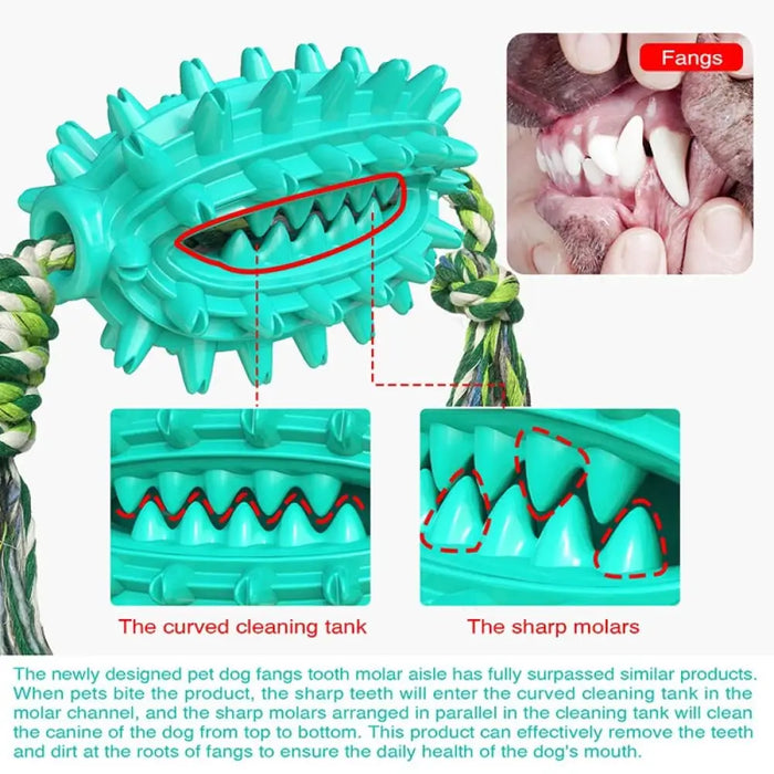 Rubber Soft Cactus Shaped Dog Chew Toy With Removable