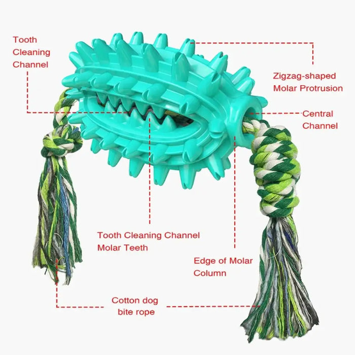 Rubber Soft Cactus Shaped Dog Chew Toy With Removable