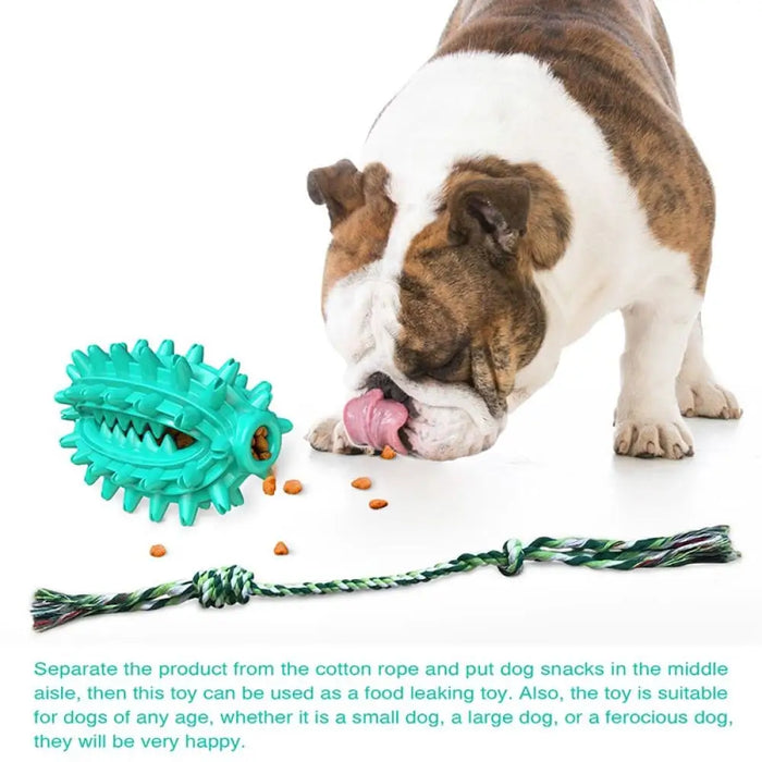 Rubber Soft Cactus Shaped Dog Chew Toy With Removable