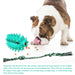 Rubber Soft Cactus Shaped Dog Chew Toy With Removable