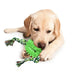 Rubber Soft Cactus Shaped Dog Chew Toy With Removable