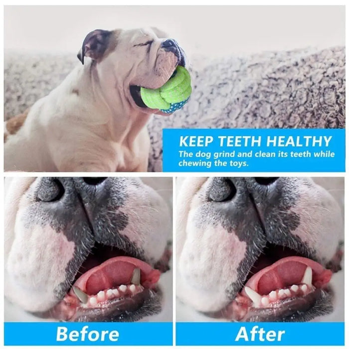 Safe Teeth Cleaning Durable Interactive Rope Dog Chew Toys