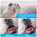 Safe Teeth Cleaning Durable Interactive Rope Dog Chew Toys