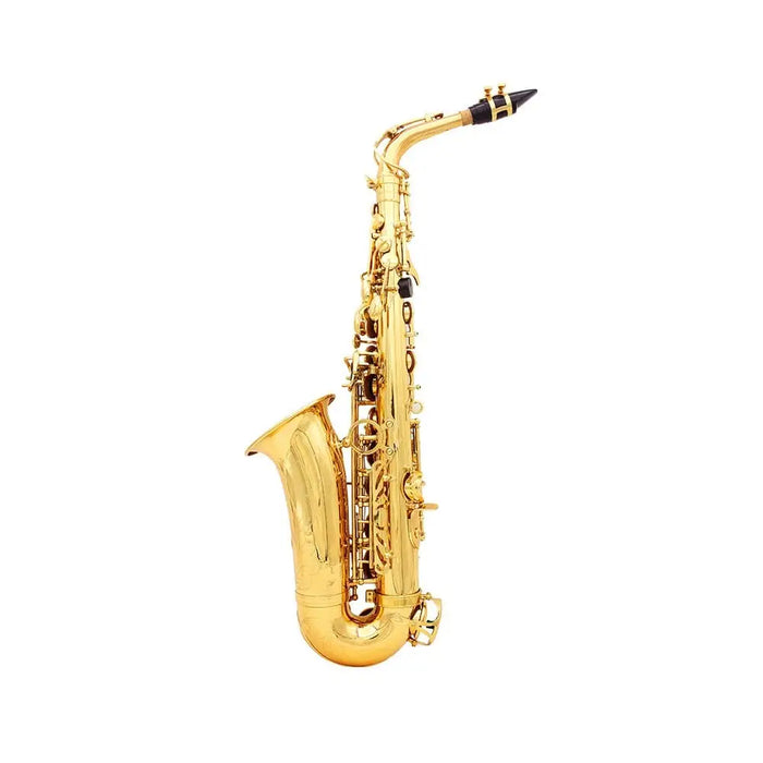 Saxophone Sax Eb Be Alto e Flat Brass Carved Pattern Plastic