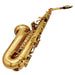 Saxophone Sax Eb Be Alto e Flat Brass Carved Pattern Plastic