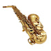 Saxophone Sax Eb Be Alto e Flat Brass Carved Pattern Plastic