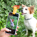 Selfie Clip For Pets Pefie Innovagoods