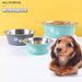 Non-slip Durable Rubber Bottom Food Water Pet Bowl