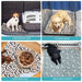 Non-slip Quick Dry Reusable Whelping Pee Pads For Dogs